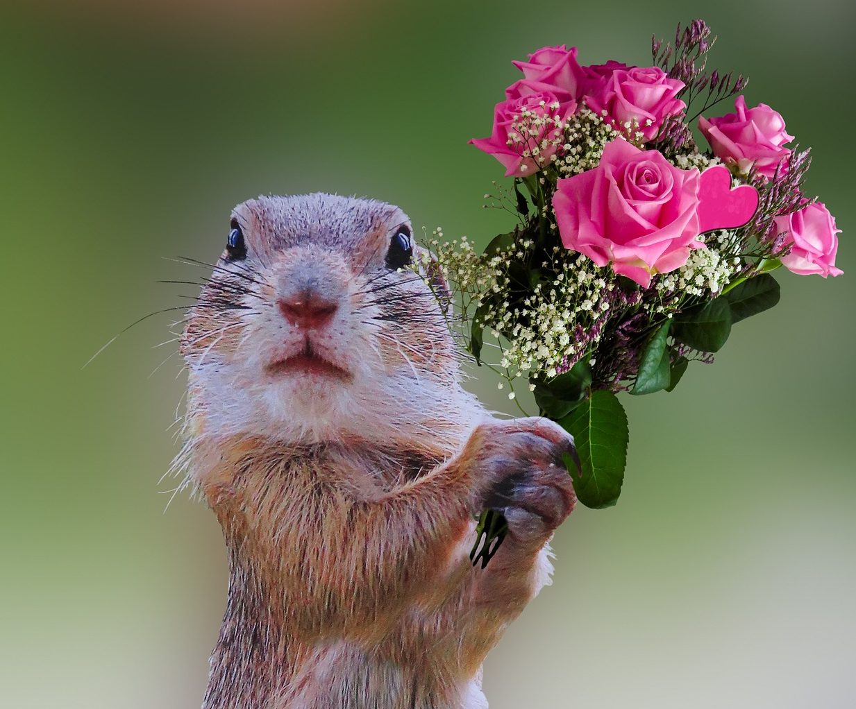 Verzichte auf Entschuldigungen