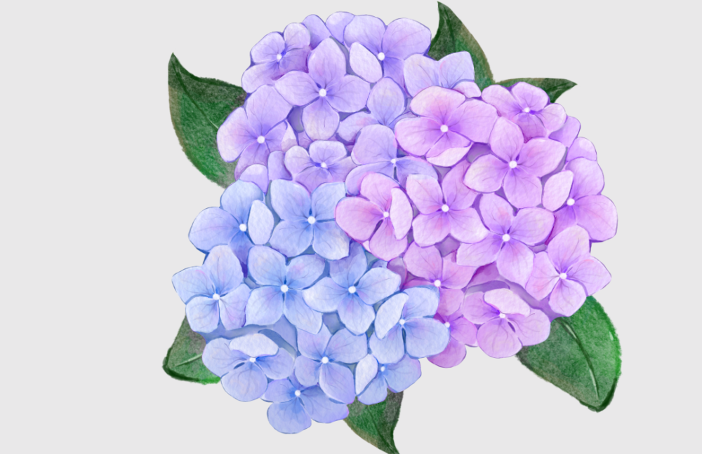 Happy Money Girl Runner (1080 x 700 px) (4)