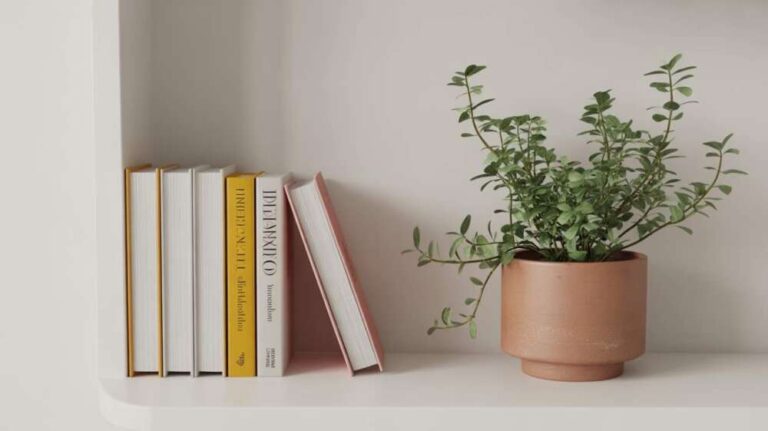 99 Geldlektionen, die dein Leben verändern können